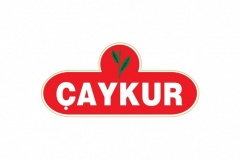 503_caykur